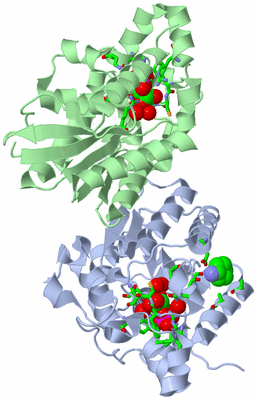 Image Asym./Biol. Unit - sites