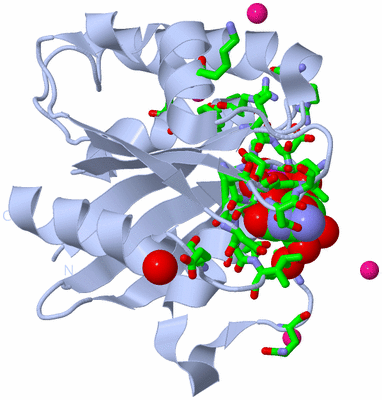 Image Biol. Unit 1 - sites