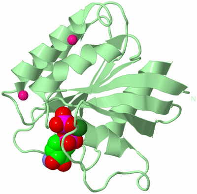 Image Biological Unit 2