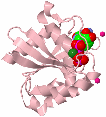 Image Biological Unit 3