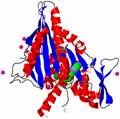 Image Asym./Biol. Unit