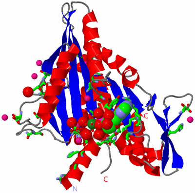 Image Asym./Biol. Unit - sites