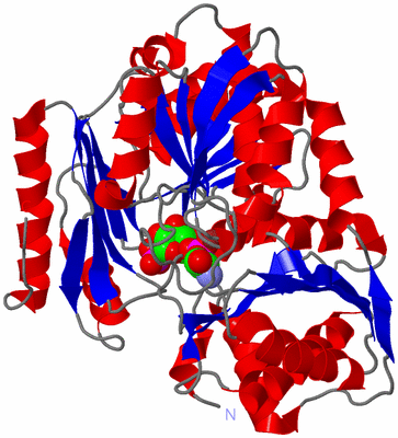 Image Asym./Biol. Unit