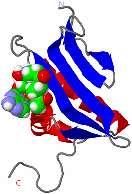 Image NMR Structure - model 1