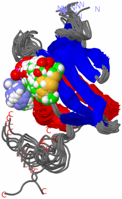 Image NMR Structure - all models