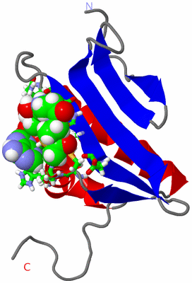 Image NMR Structure - model 1, sites