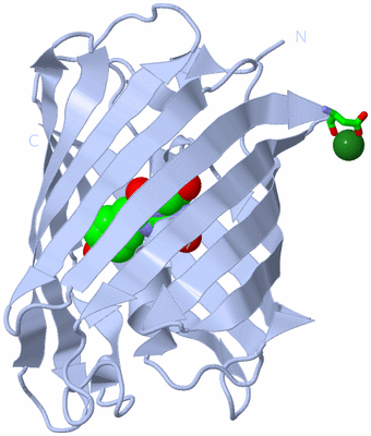 Image Biol. Unit 1 - sites