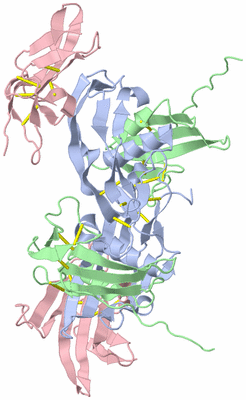 Image Biological Unit 1