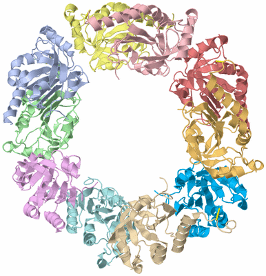 Image Asym./Biol. Unit