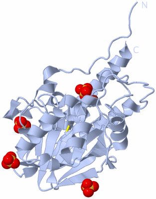 Image Biological Unit 1