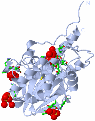 Image Biol. Unit 1 - sites