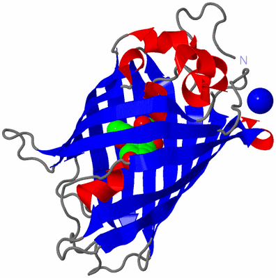 Image Asym./Biol. Unit