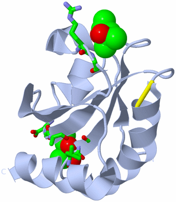 Image Biol. Unit 1 - sites