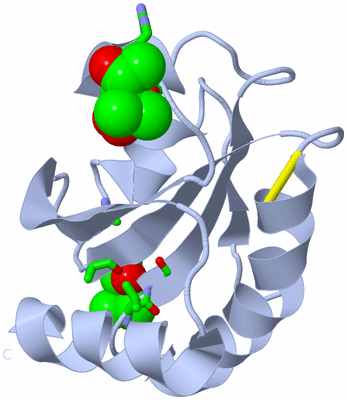 Image Biol. Unit 1 - sites