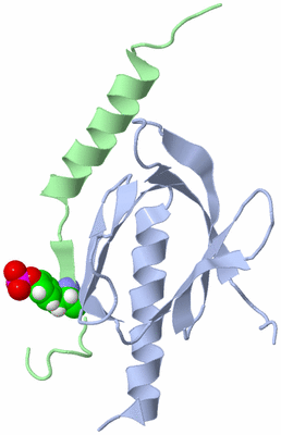 Image NMR Structure - model 1