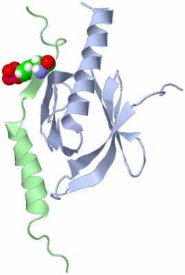 Image NMR Structure - model 1