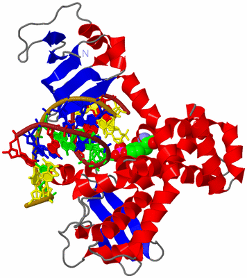 Image Asym./Biol. Unit