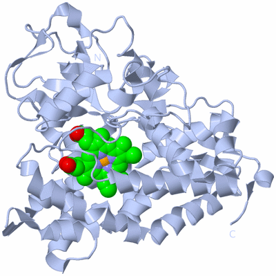 Image Biological Unit 1