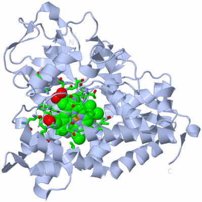 Image Biol. Unit 1 - sites