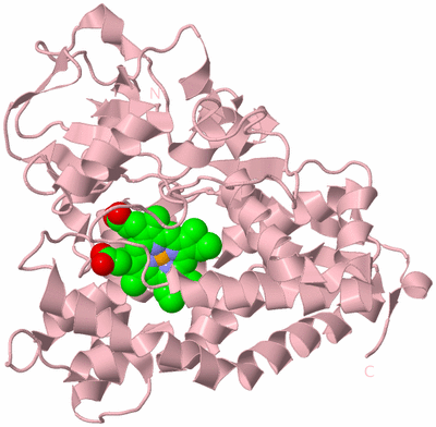 Image Biological Unit 2