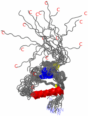 Image NMR Structure - all models