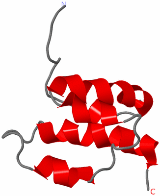 Image NMR Structure - model 1