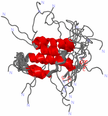 Image NMR Structure - all models