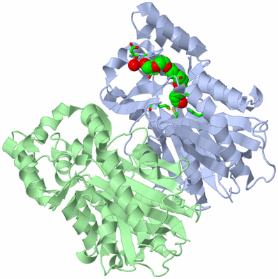 Image Asym./Biol. Unit - sites