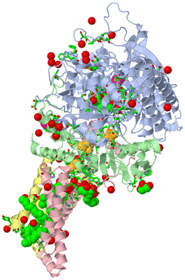 Image Asym./Biol. Unit - sites