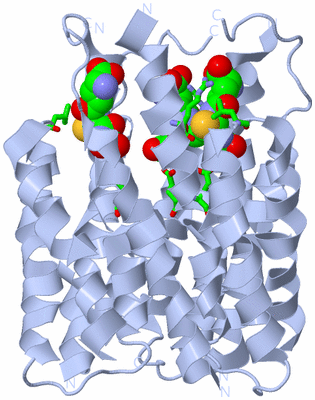 Image Biol. Unit 1 - sites