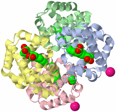 Image Asym./Biol. Unit