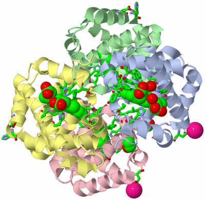 Image Asym./Biol. Unit - sites