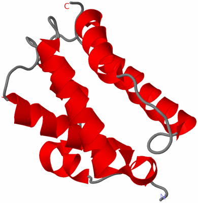 Image Theoretical Model