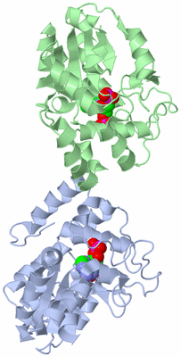 Image Asym./Biol. Unit