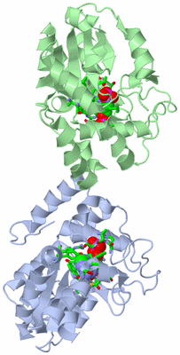 Image Asym./Biol. Unit - sites