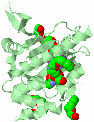 Image Biological Unit 2