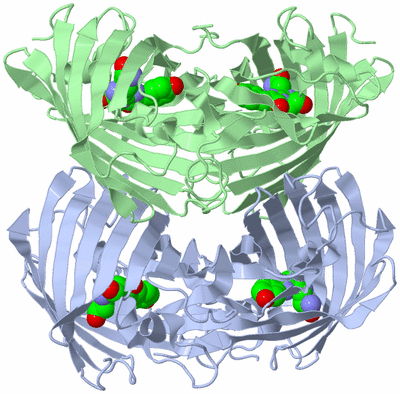 Image Biological Unit 1