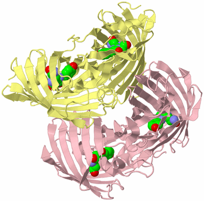 Image Biological Unit 2