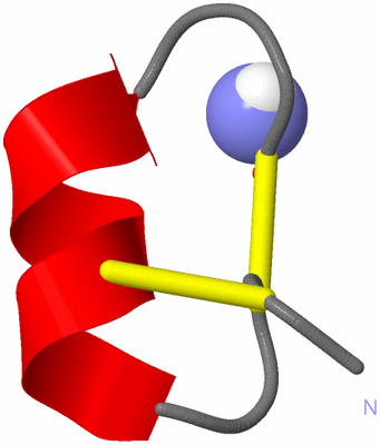 Image NMR Structure - model 1