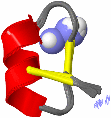 Image NMR Structure - all models