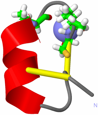 Image NMR Structure - model 1, sites