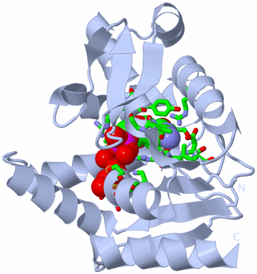 Image Biol. Unit 1 - sites