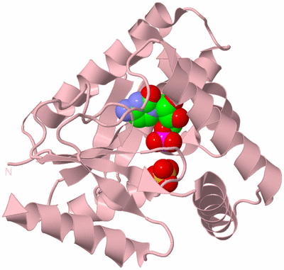 Image Biological Unit 3