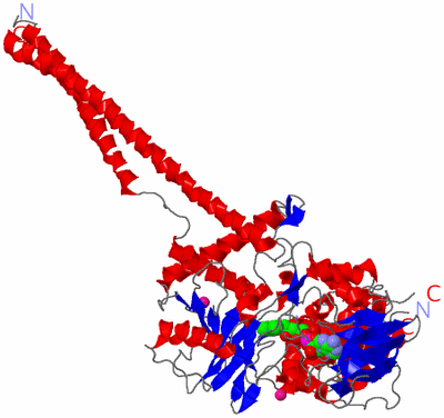 Image Asym./Biol. Unit