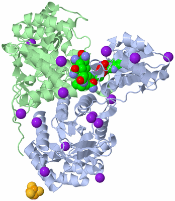 Image Asym./Biol. Unit