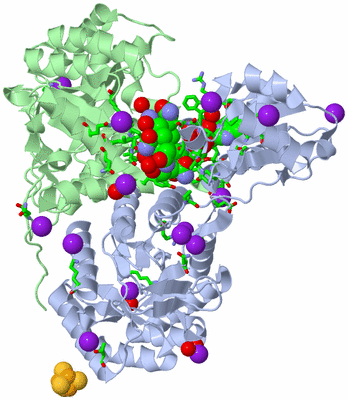 Image Asym./Biol. Unit - sites