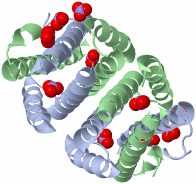 Image Biological Unit 2