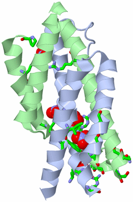 Image Asym. Unit - sites