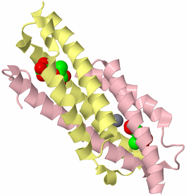 Image Biological Unit 2