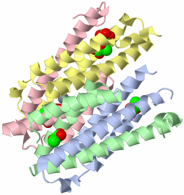 Image Biological Unit 3